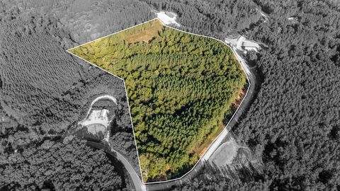 Photo of 289 Center Ridge Dr, Linden, TN 37096 (MLS # 3012946)