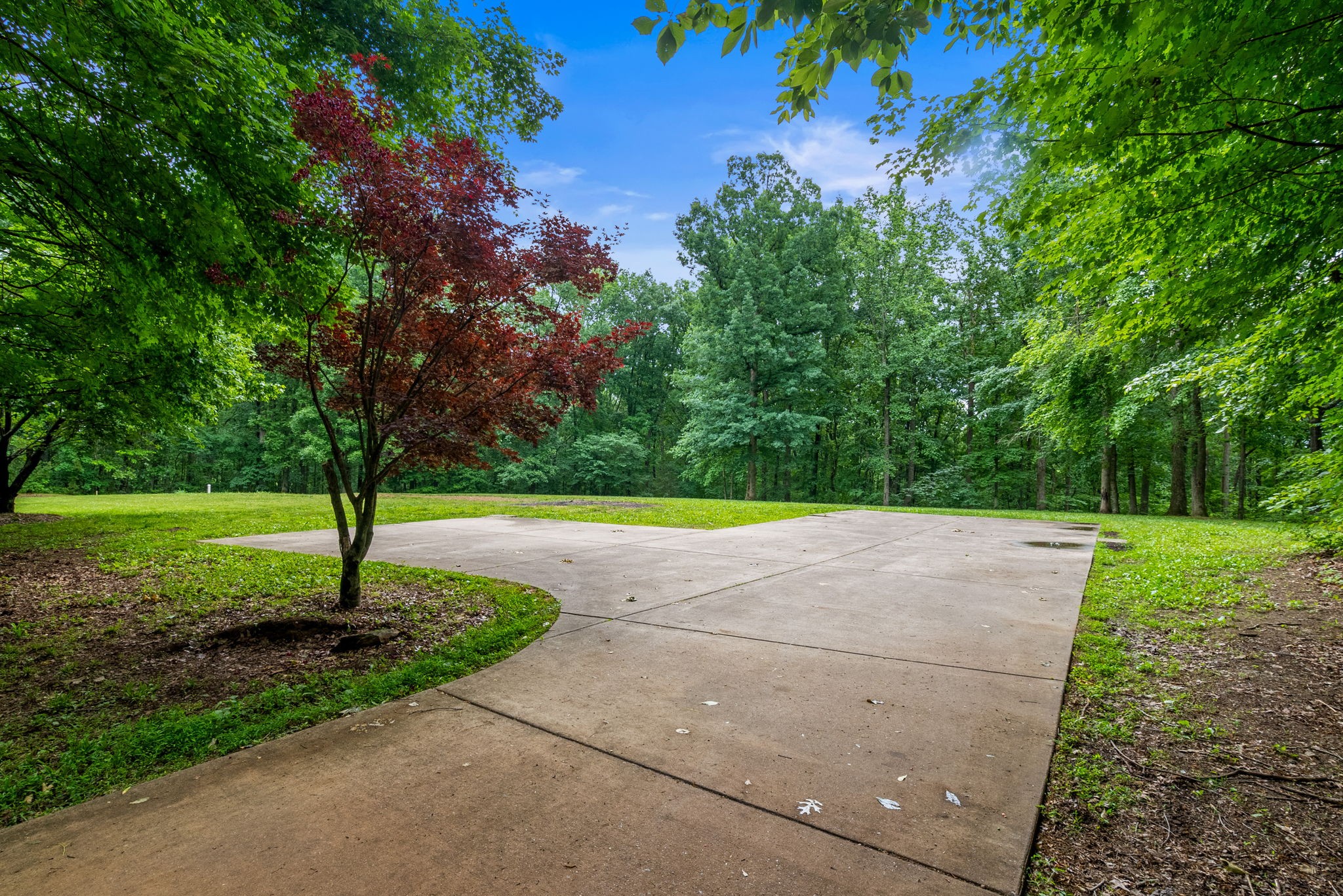 Photo 1 of 41 — 150A Dogwood Springs Dr, Portland, TN 37148