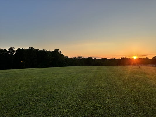 7509 PINEWOOD RD, PRIMM SPRINGS, TN 38476 - Image e243fbc7b4628f5f9fb8e74cef4e5ad4/401710849
