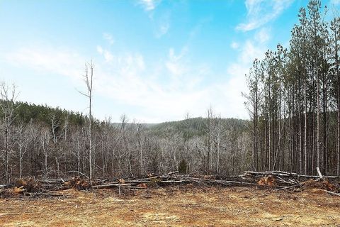 1661 Sassafras Stand Ridge Linden TN 37096
