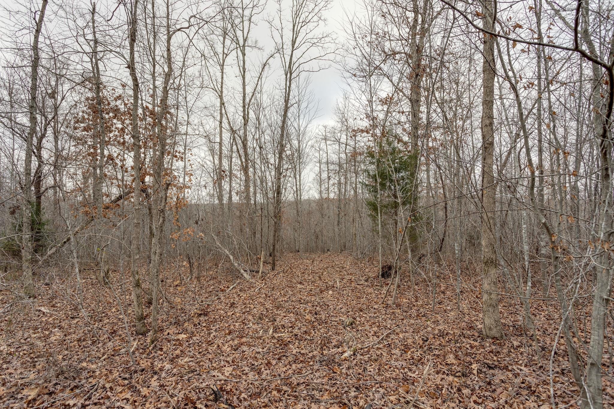 383 Napier Rd