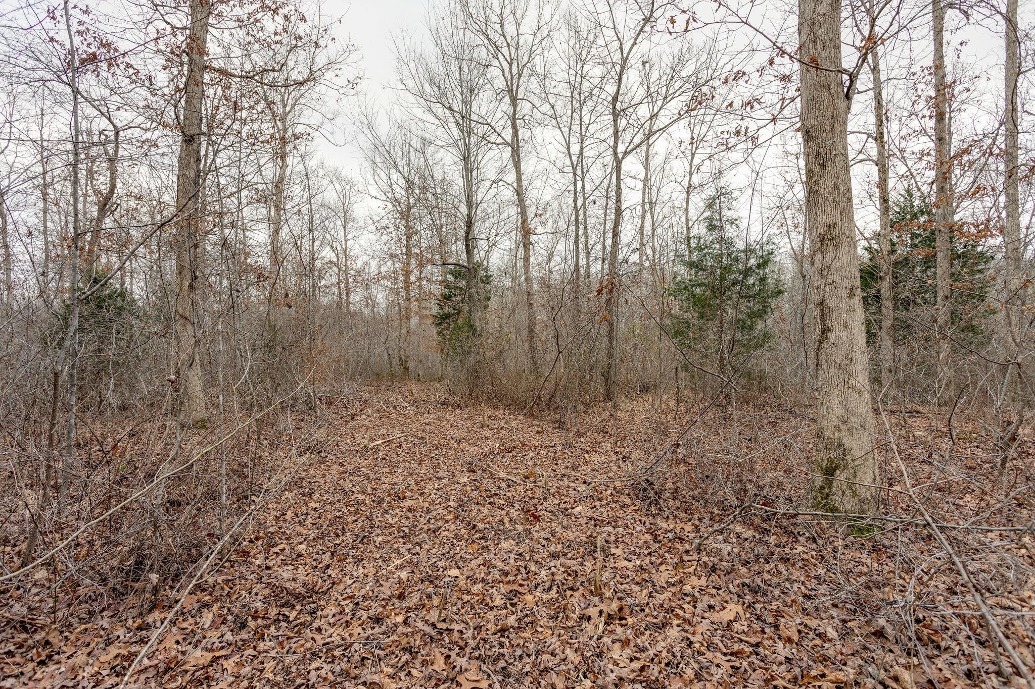 383 Napier Rd