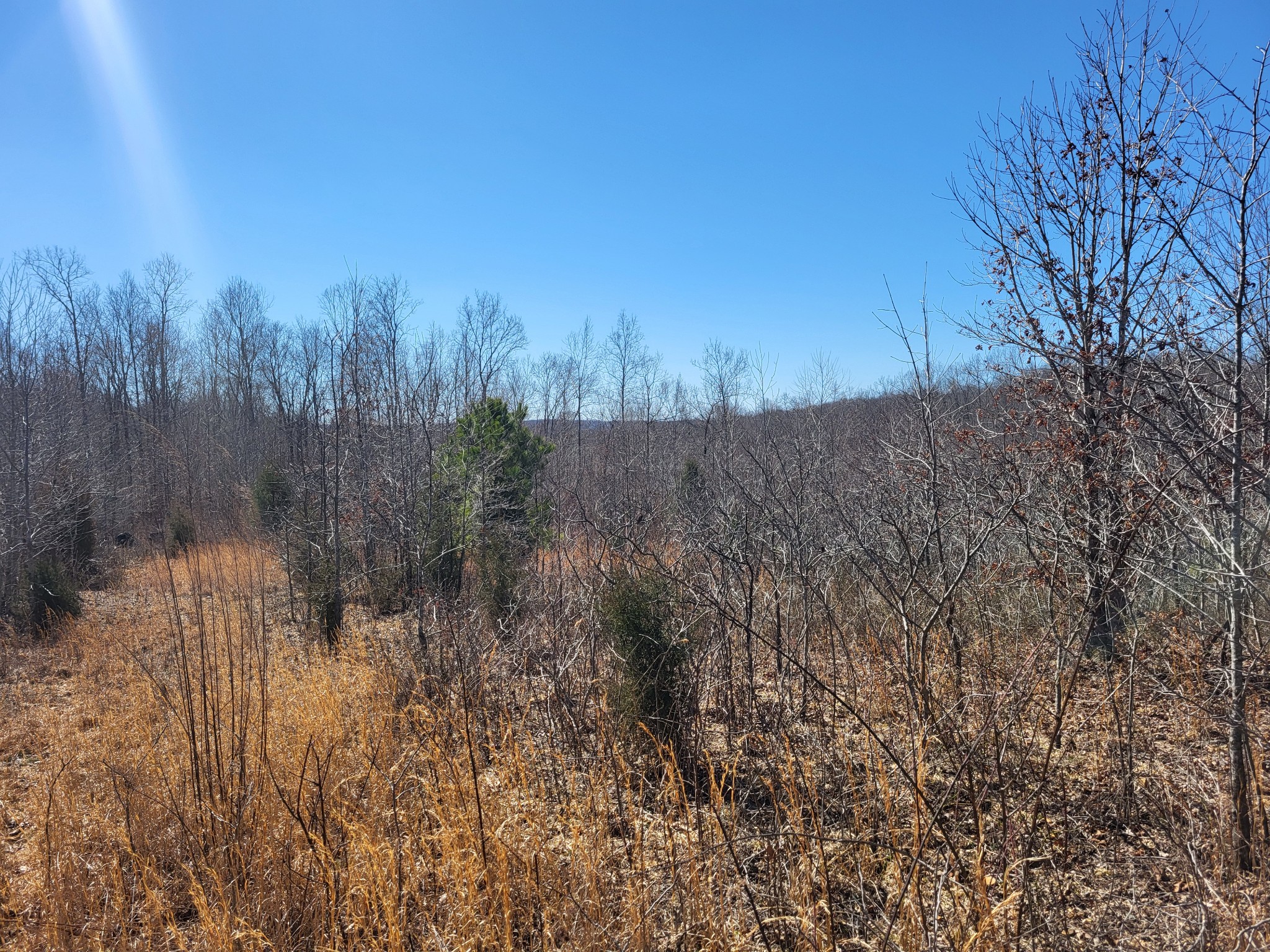 1515 Keel Hollow Rd