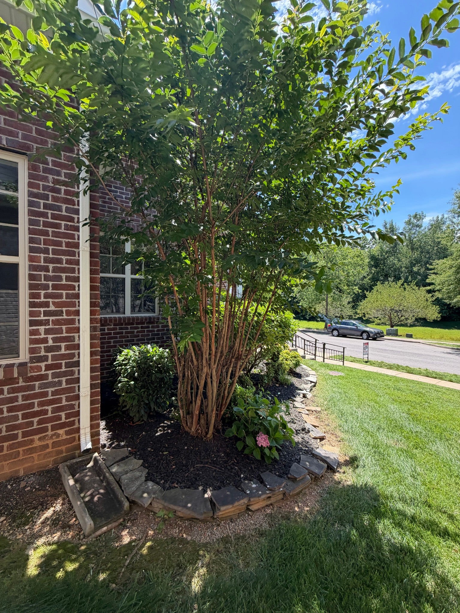266 Turnberry Cir