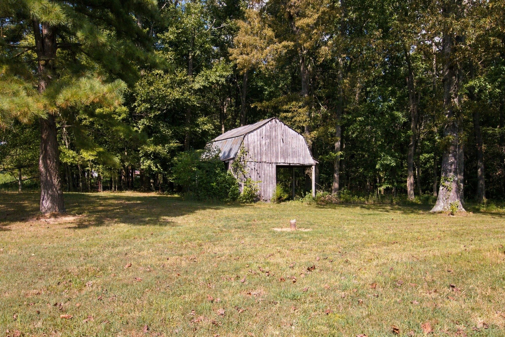 3245 Harpo Rd