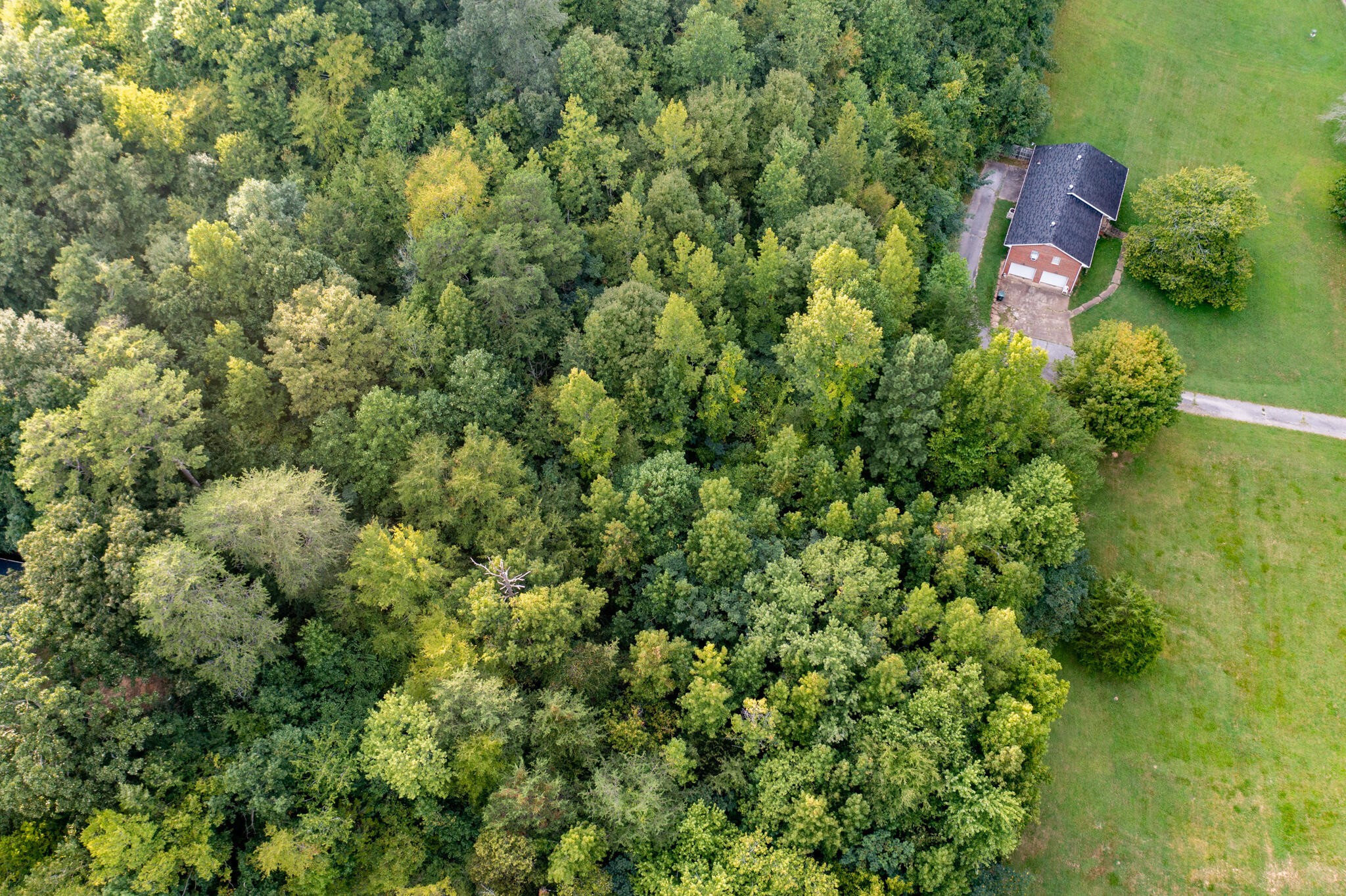 1161 Mountain Creek Road