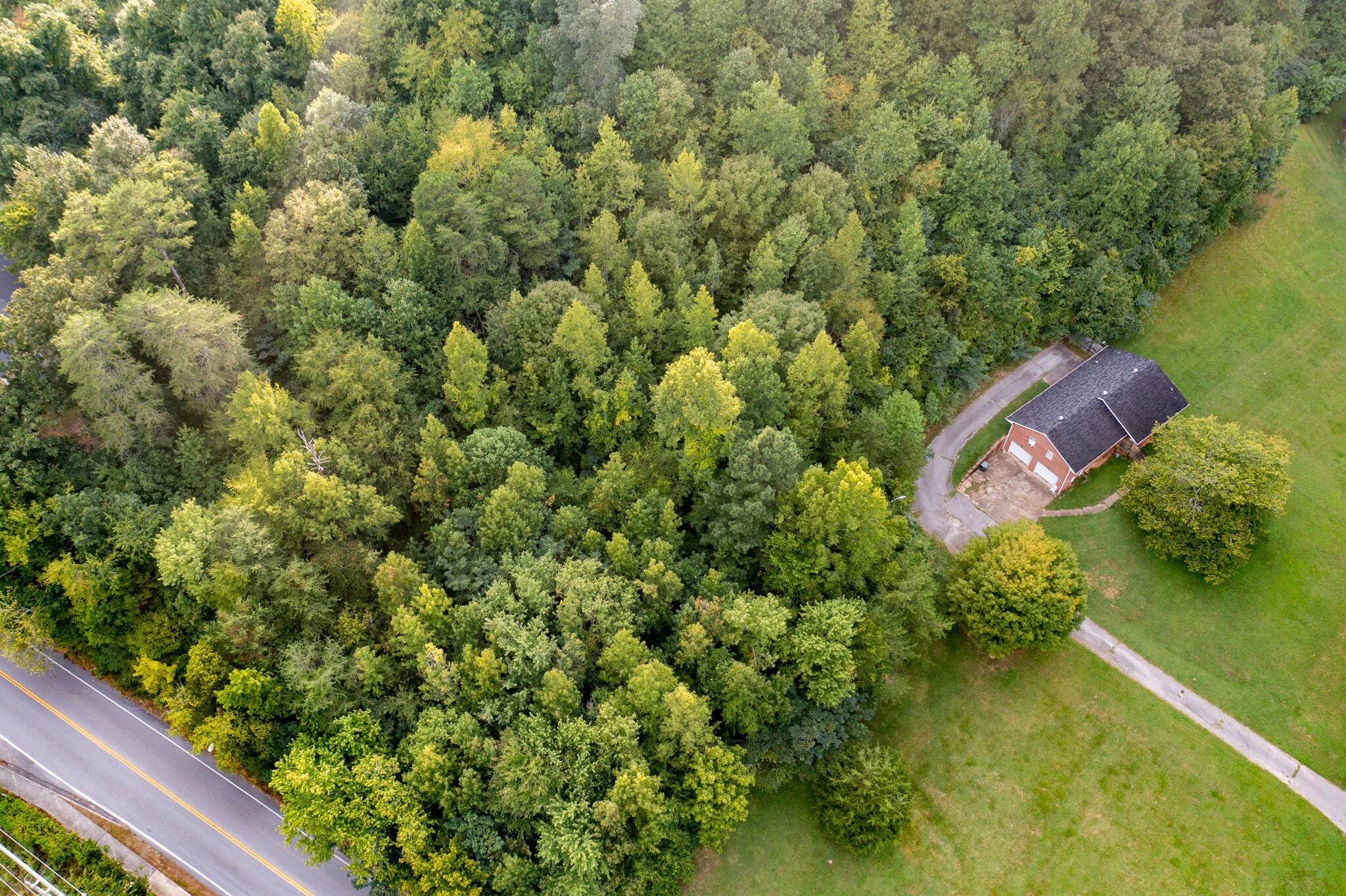 1161 Mountain Creek Road