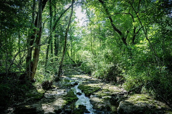 PULASKI HWY, FAYETTEVILLE, TN 37334 - Image e2b2e00d4e9e6c249bfedaa46d94c46e/1901089022