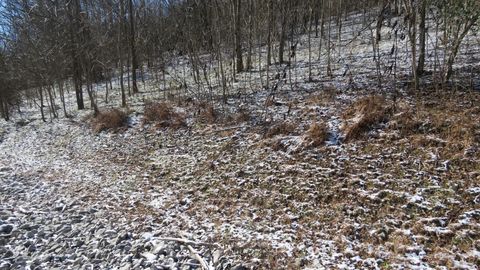 0 Bella Grace Drive Smithville TN 37166