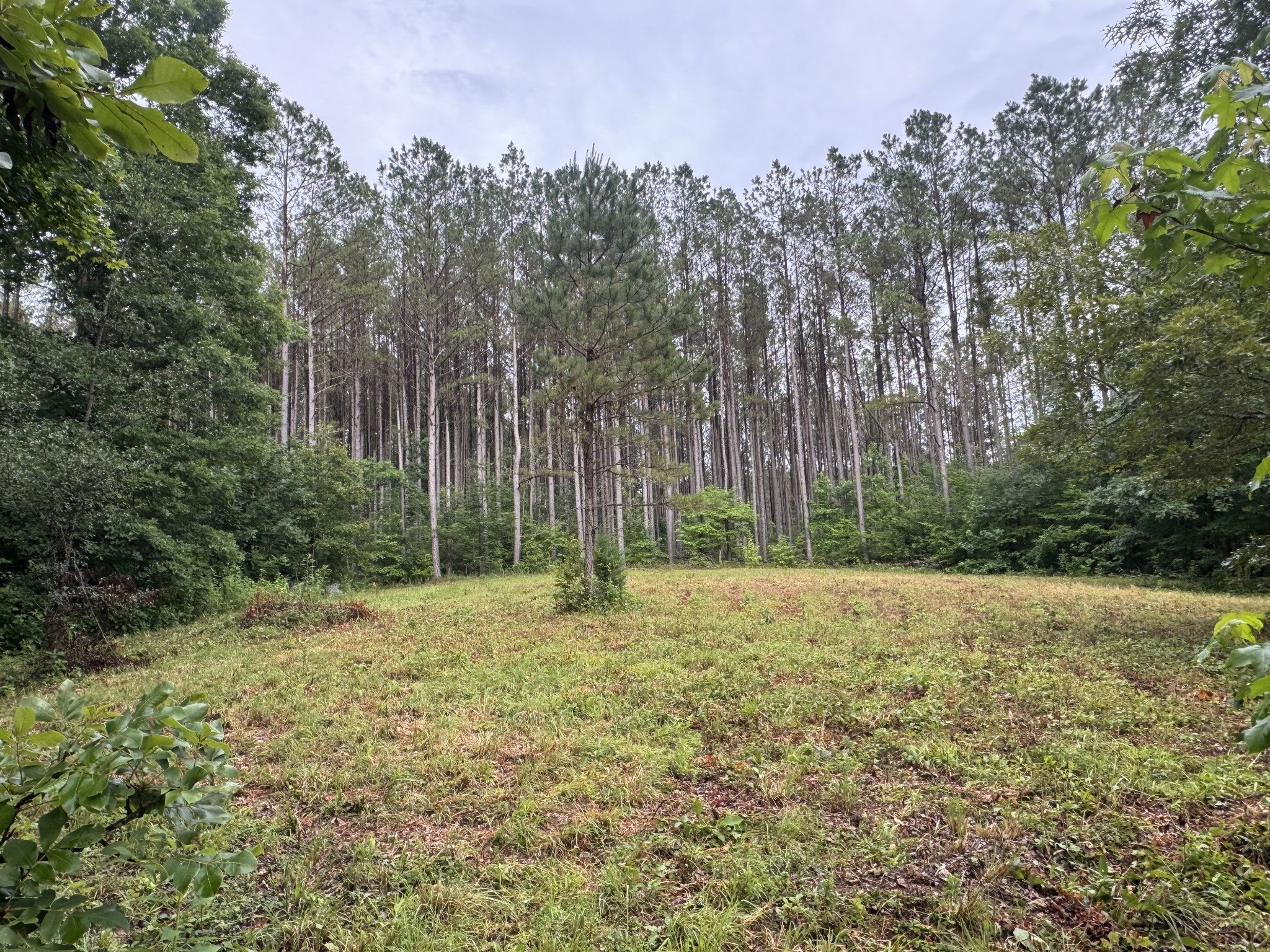 0 Johnson Hollow Rd