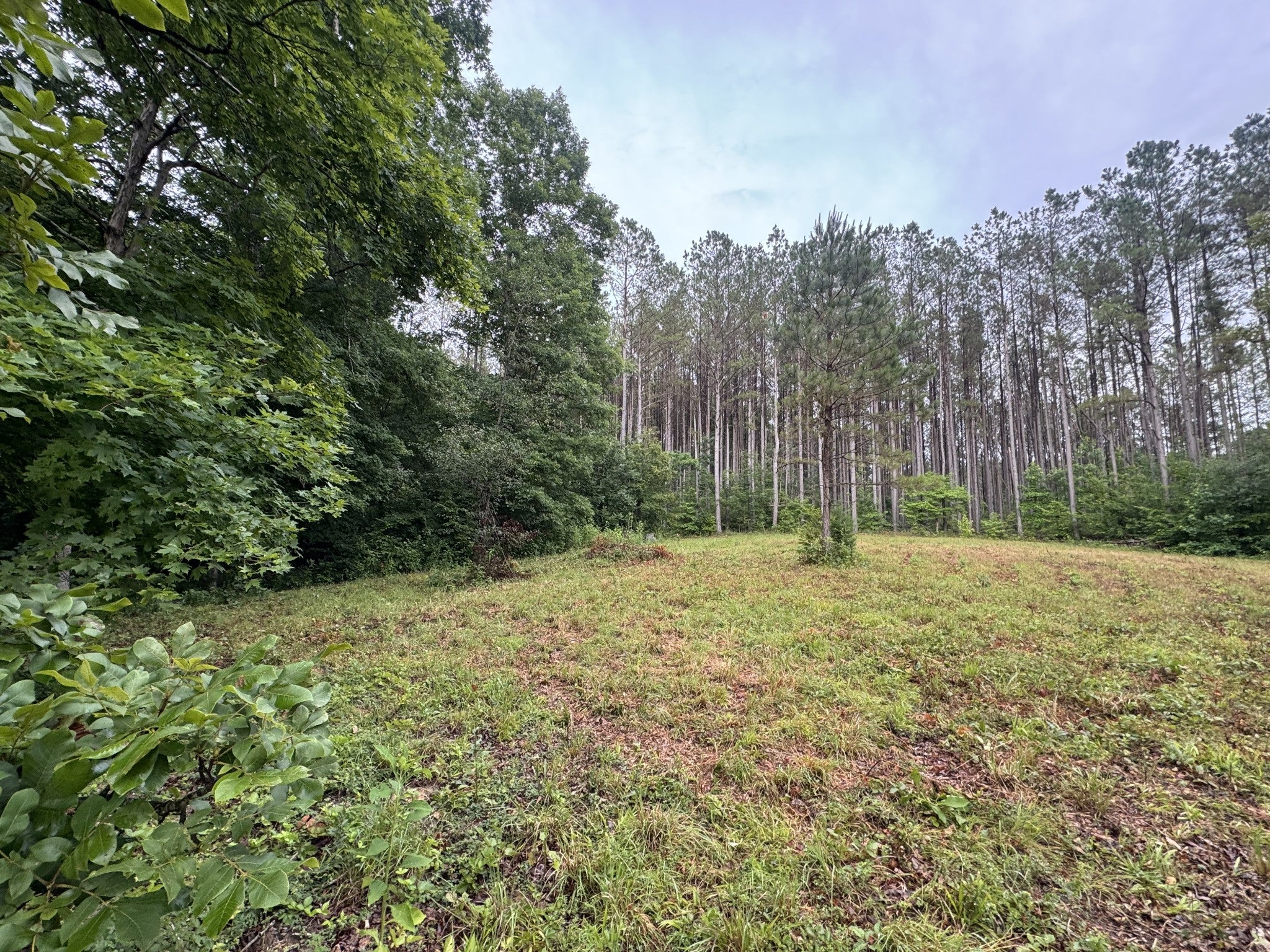 0 Johnson Hollow Rd