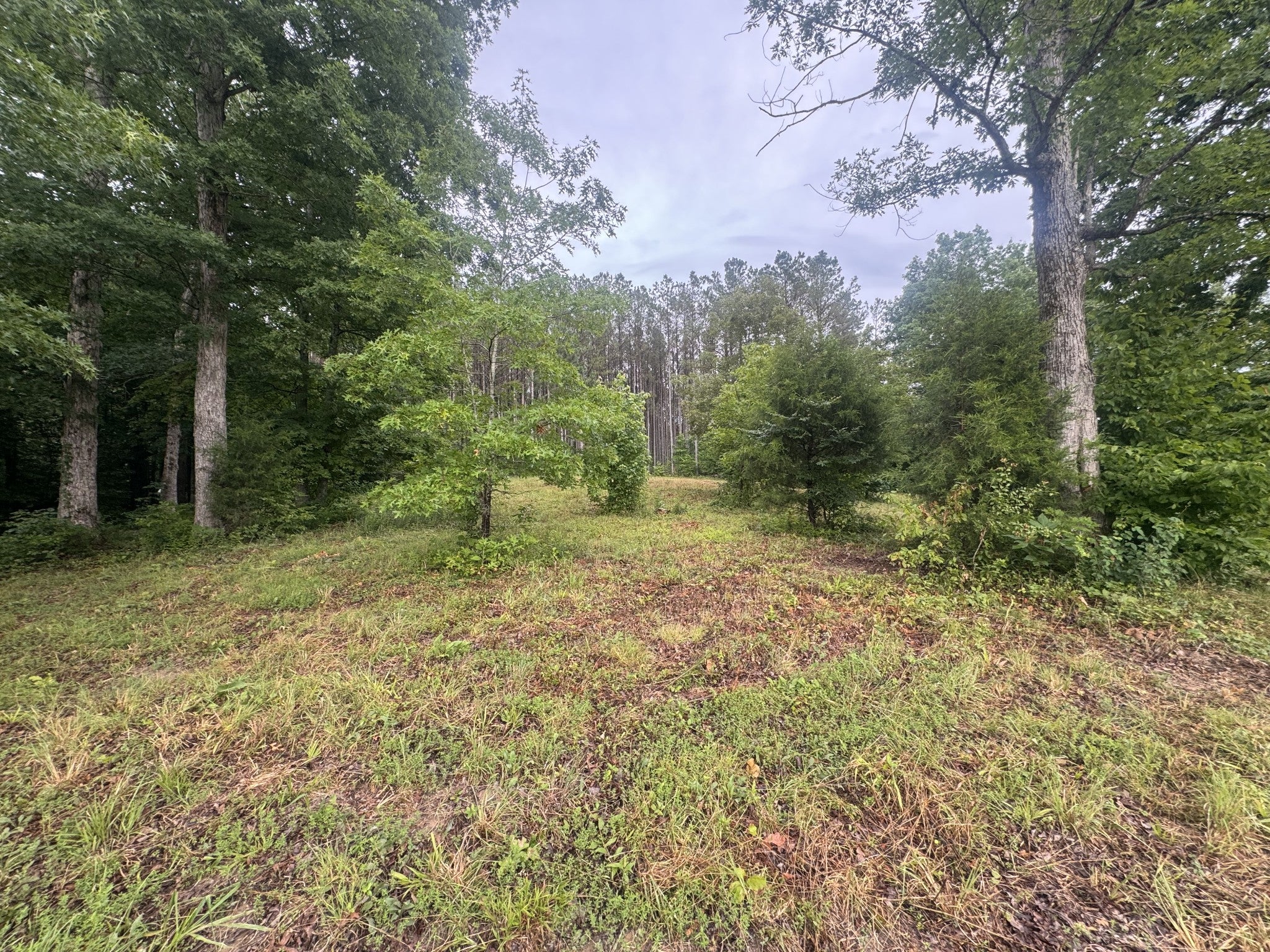 0 Johnson Hollow Rd