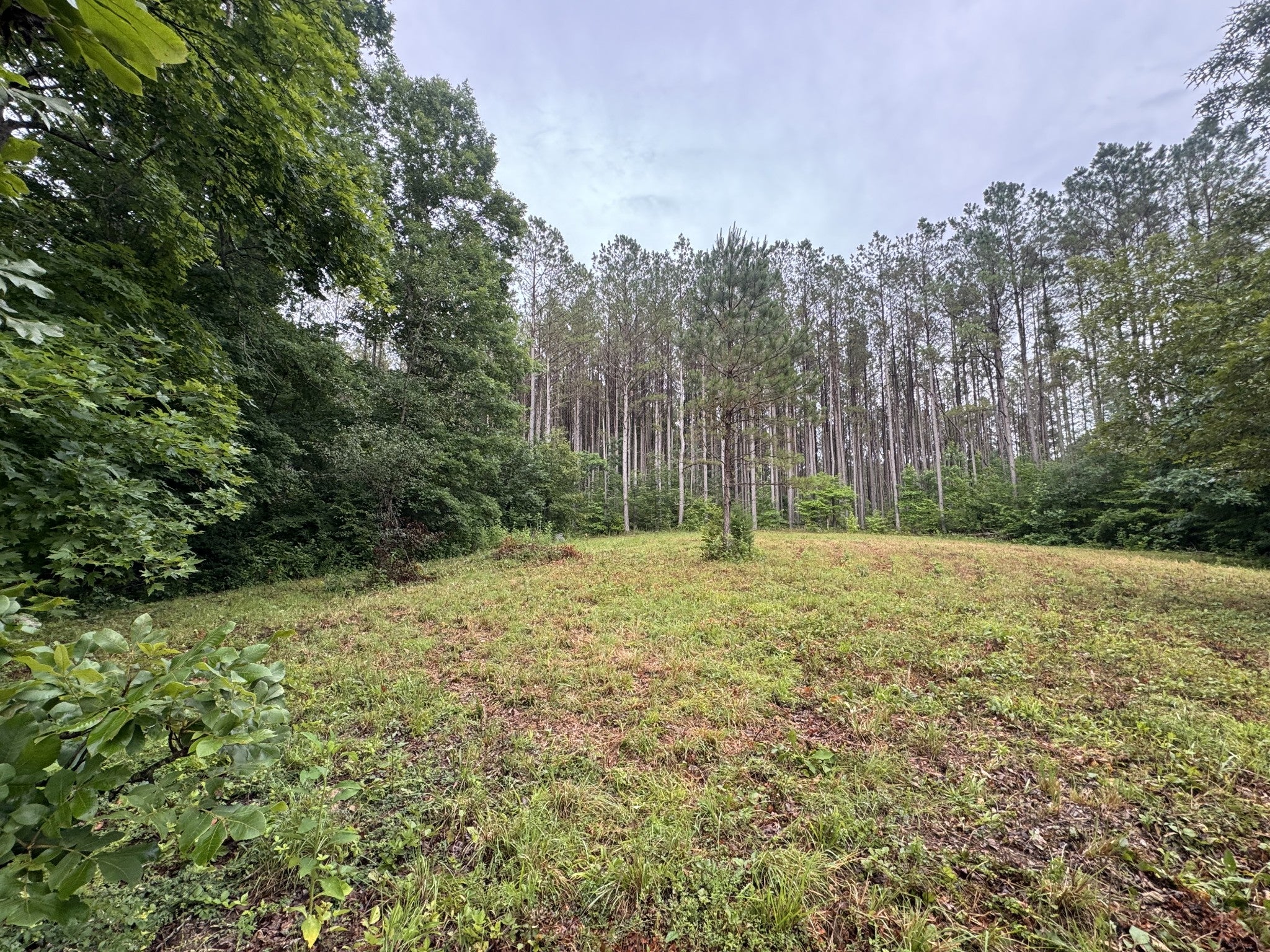 0 Johnson Hollow Rd