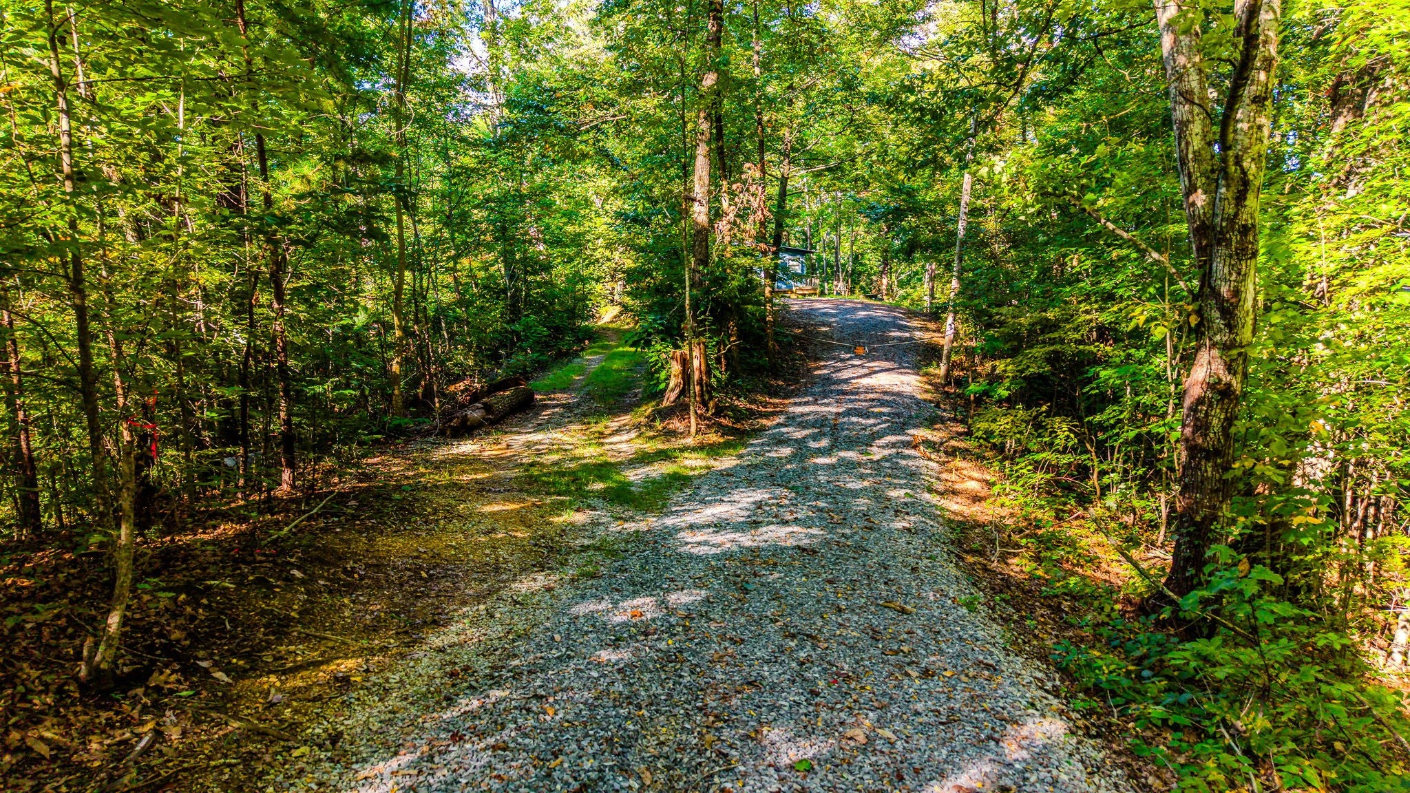 429 King Branch Rd