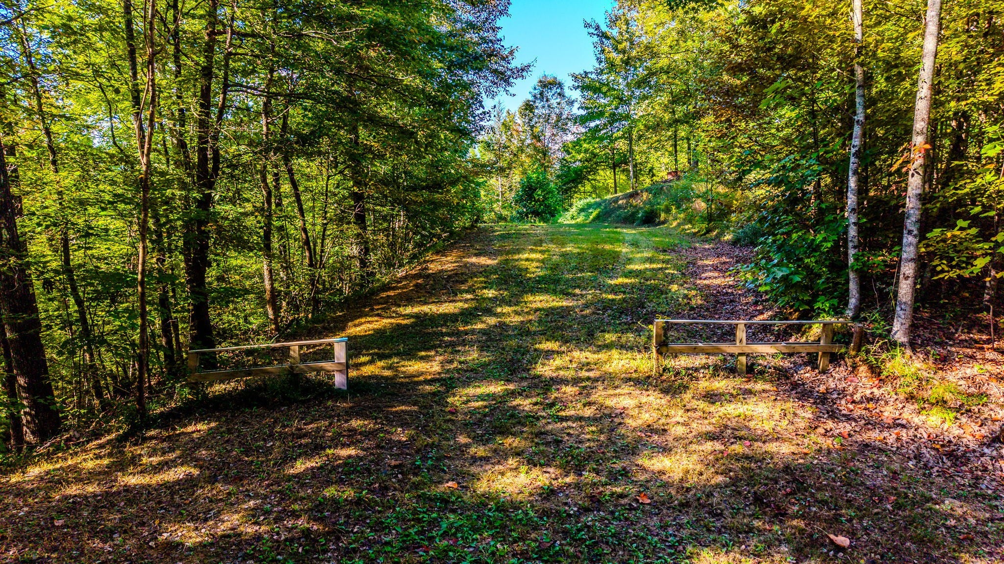 429 King Branch Rd