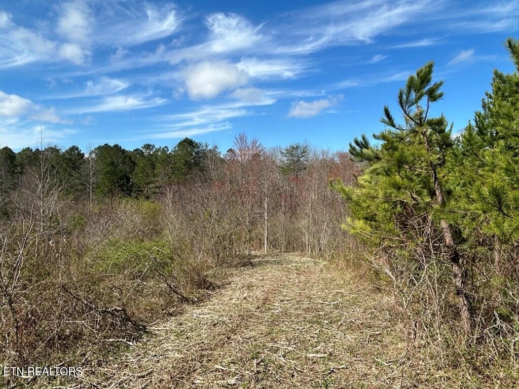 0 Holt Spur Drive