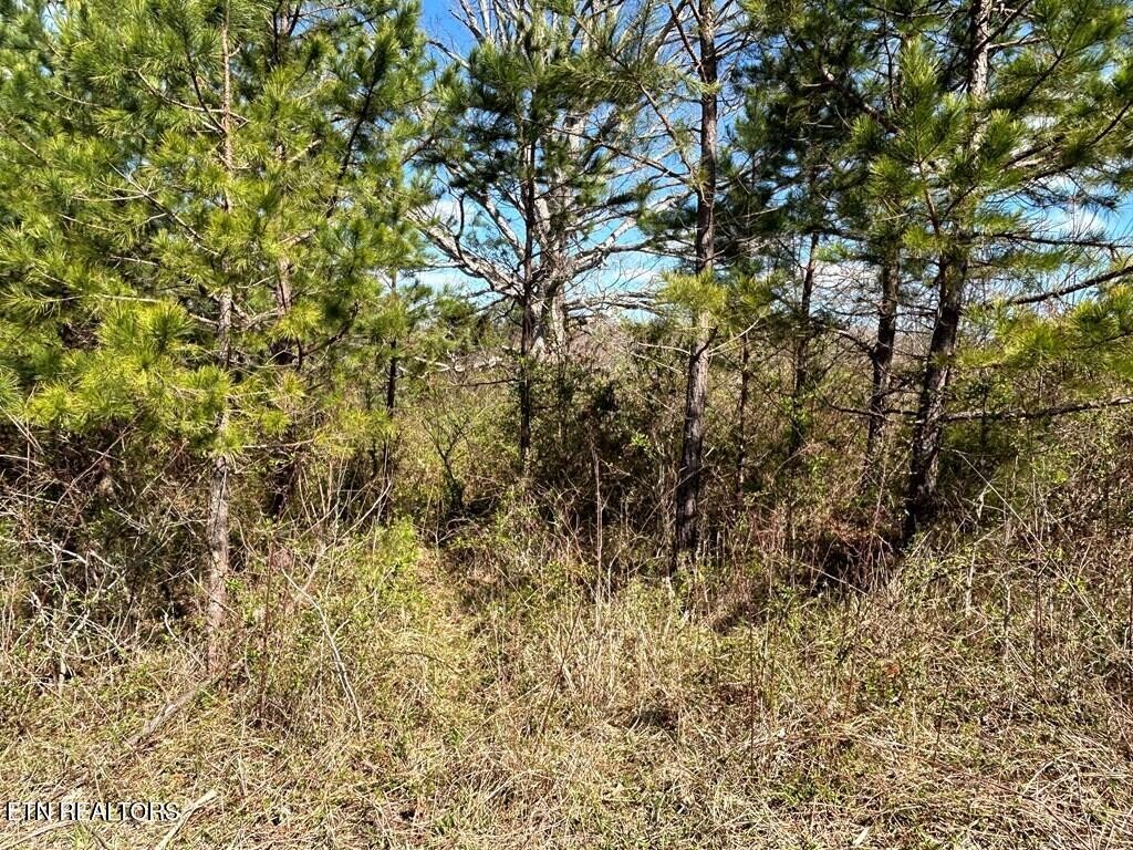 0 Holt Spur Drive