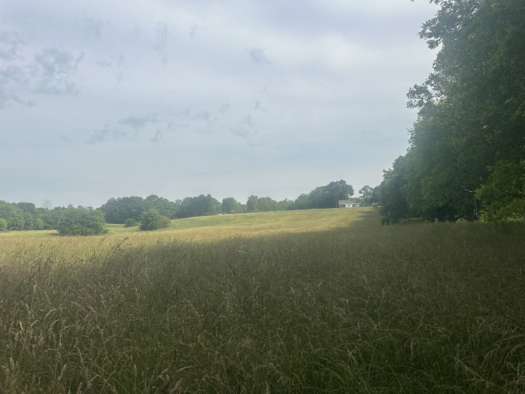 0 Cane Creek Road