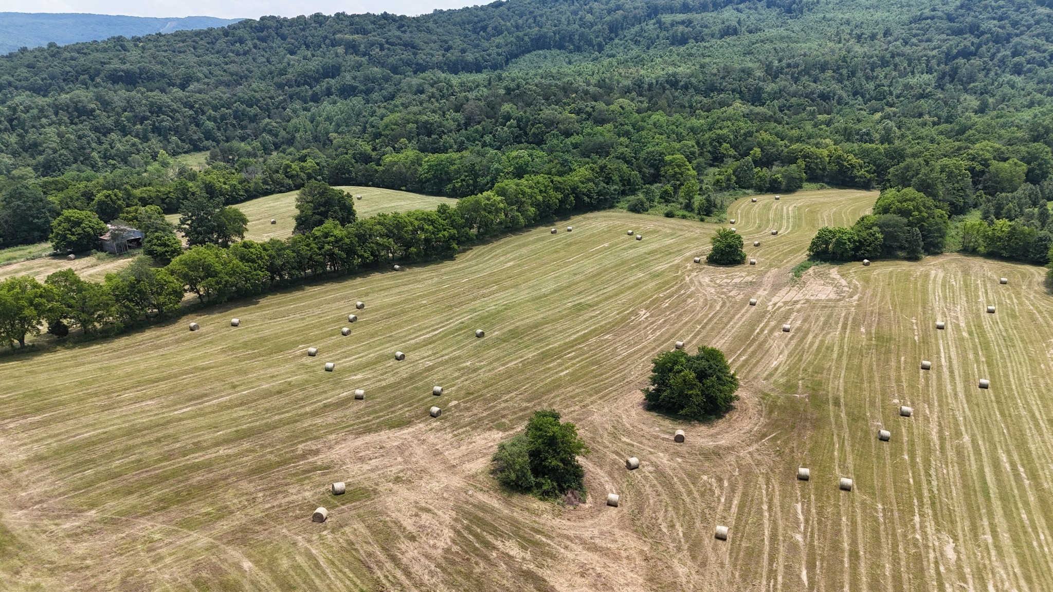 0 Cane Creek Road