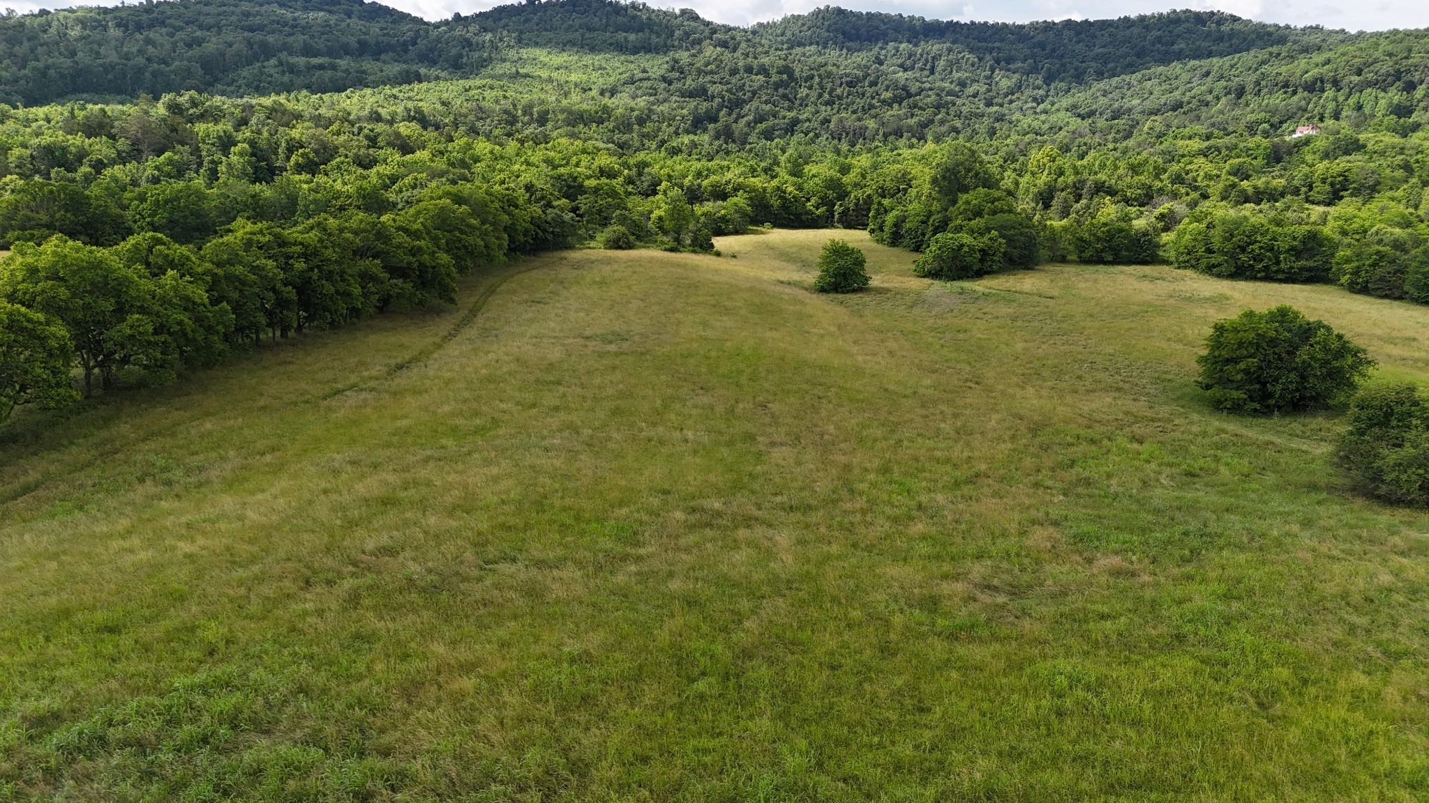 0 Cane Creek Road