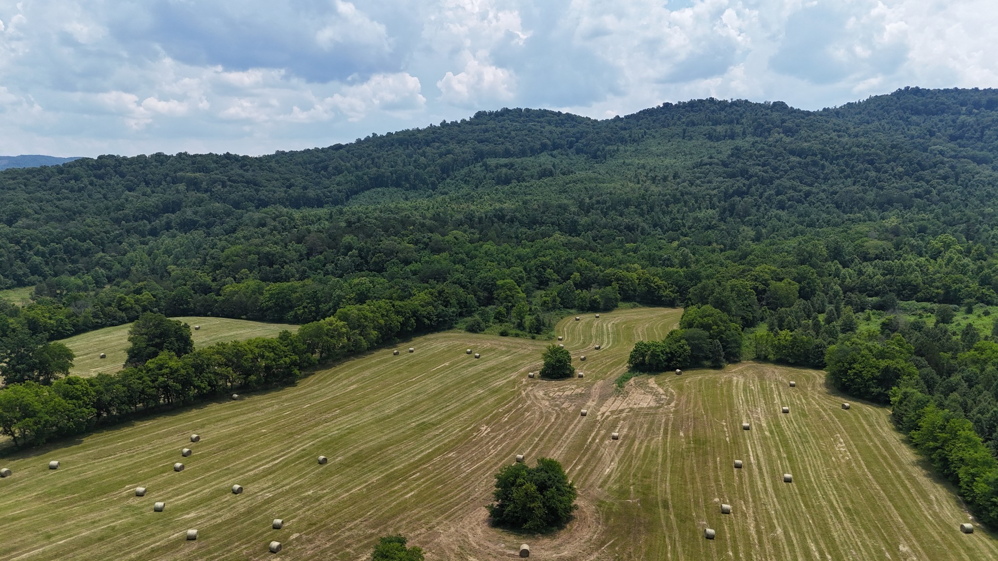 0 Cane Creek Road