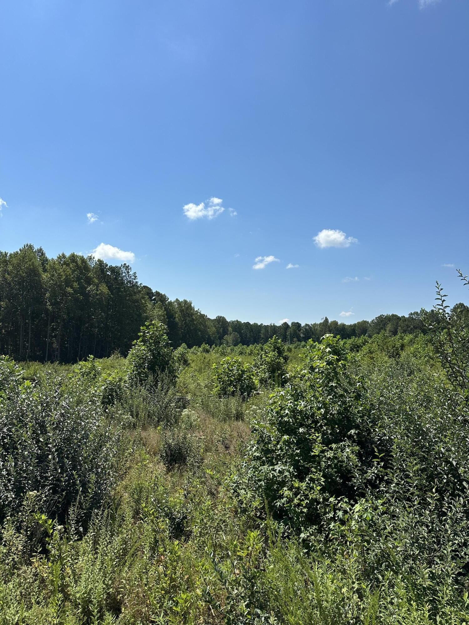 12 Dykes Hollow Road