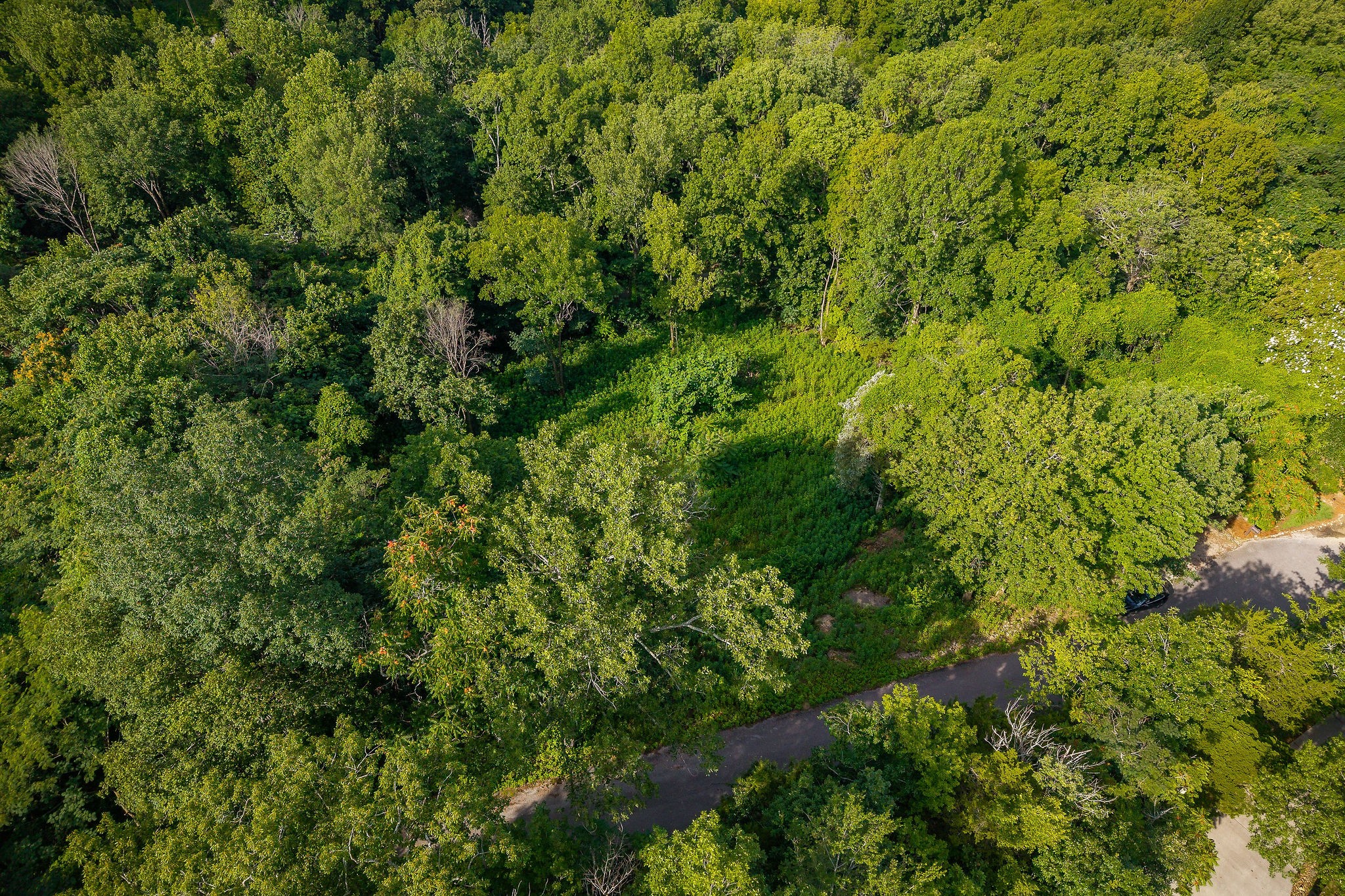 10 Lakeshore Rd