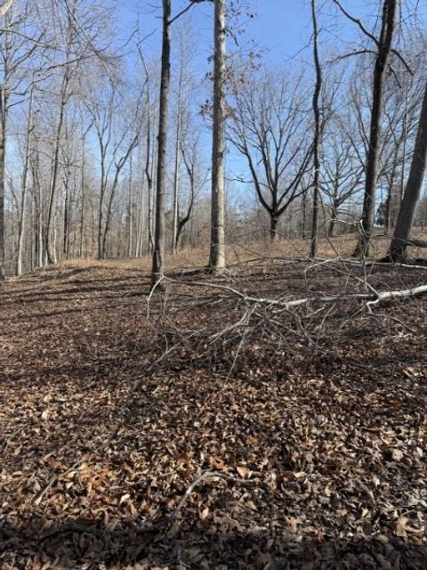 0 Old Hwy 96 Franklin TN 37064