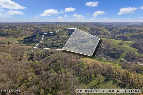 1624 BARTLETT HOLLOW RD, PETERSBURG, TN 37144 - Image e3368e608b464e7f77c7eaf928fa645c/3563190946