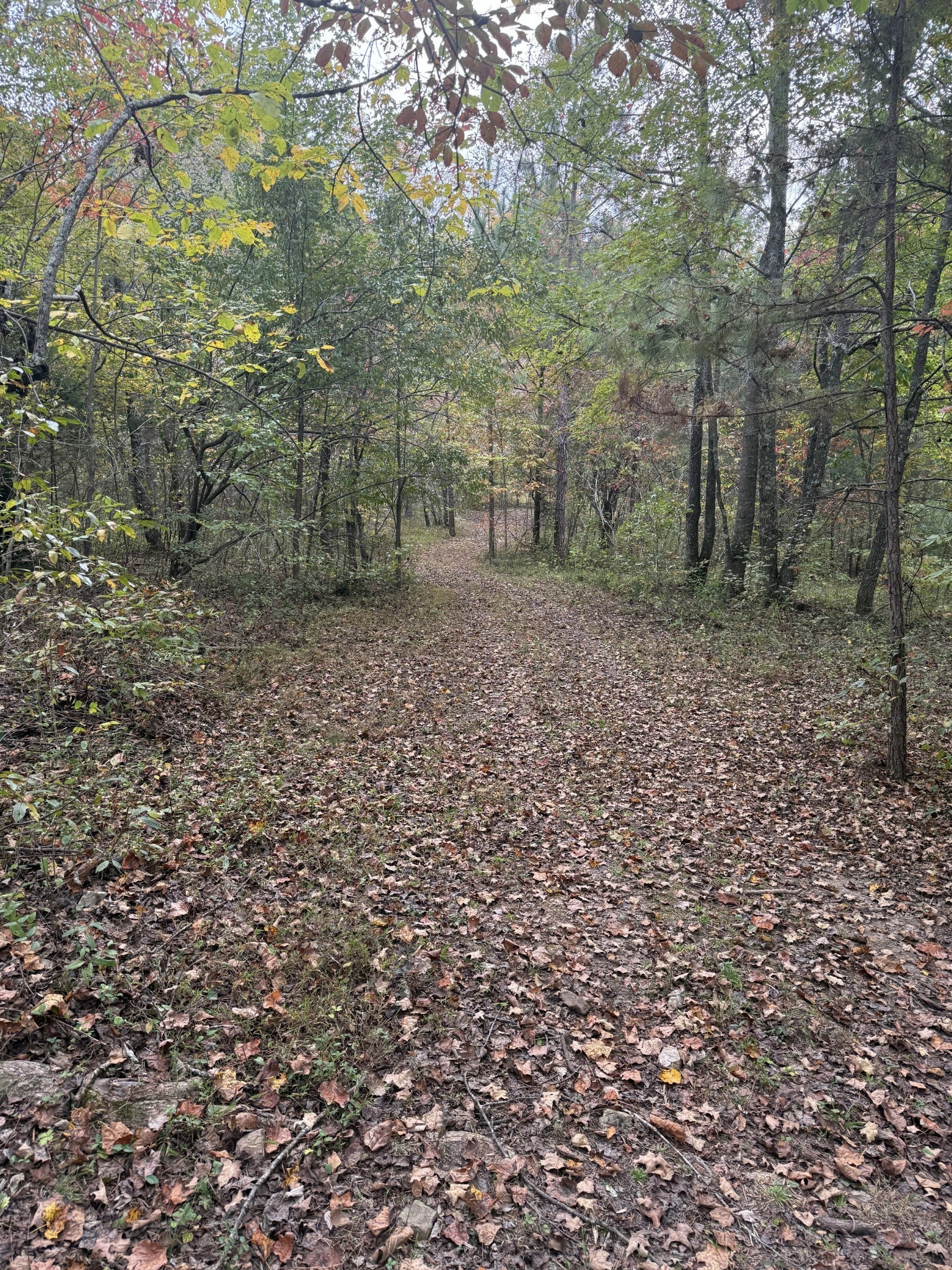 646 Brush Creek Rd