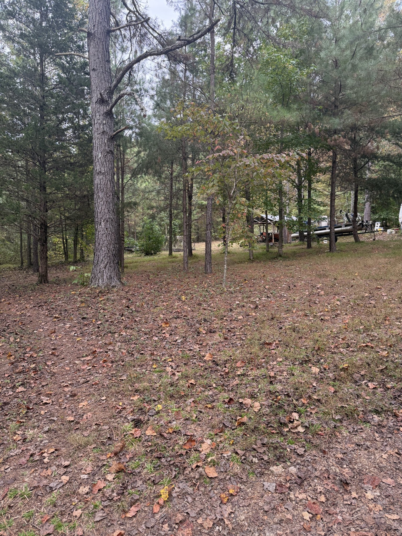 646 Brush Creek Rd