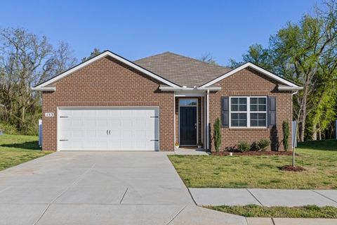 153 Olivia Cir Chapel Hill TN 37034
