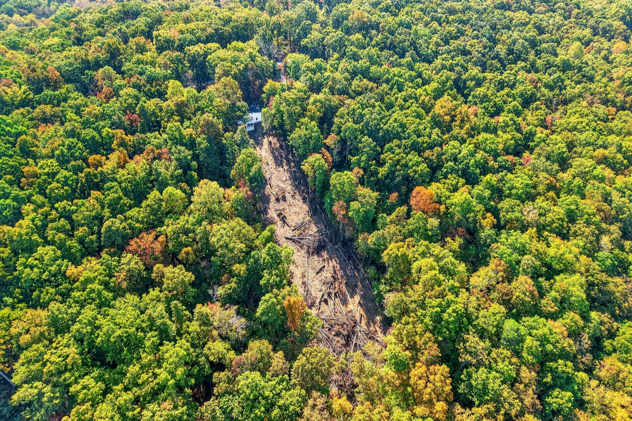 976 Chestnut Ridge Rd