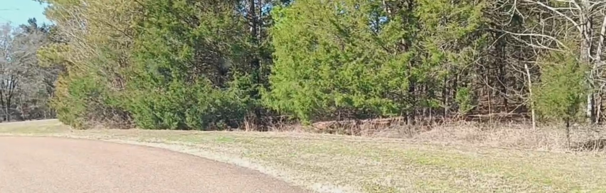 1285 Golf Dr - Photo 3