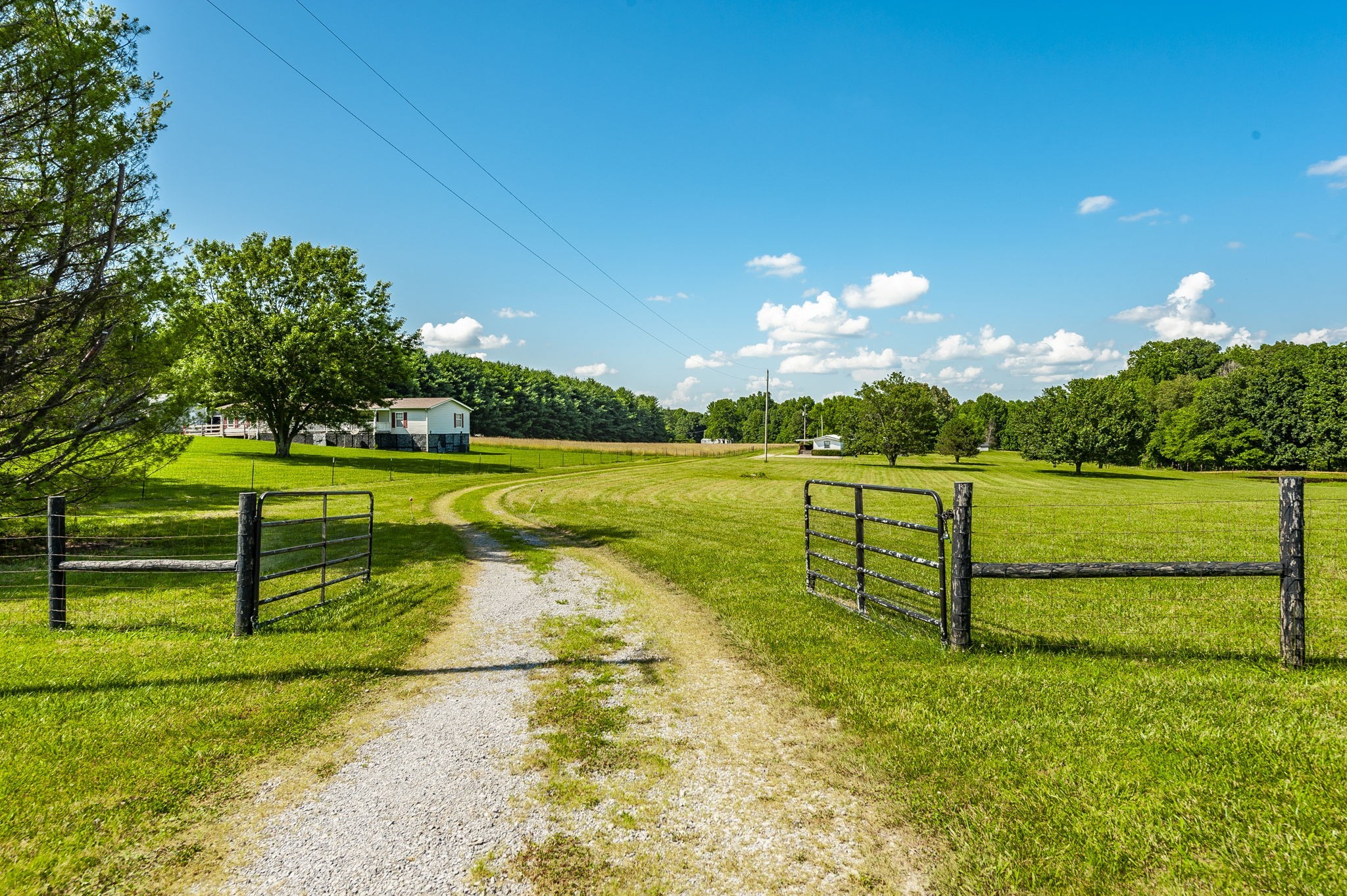 411 Womack Rd
