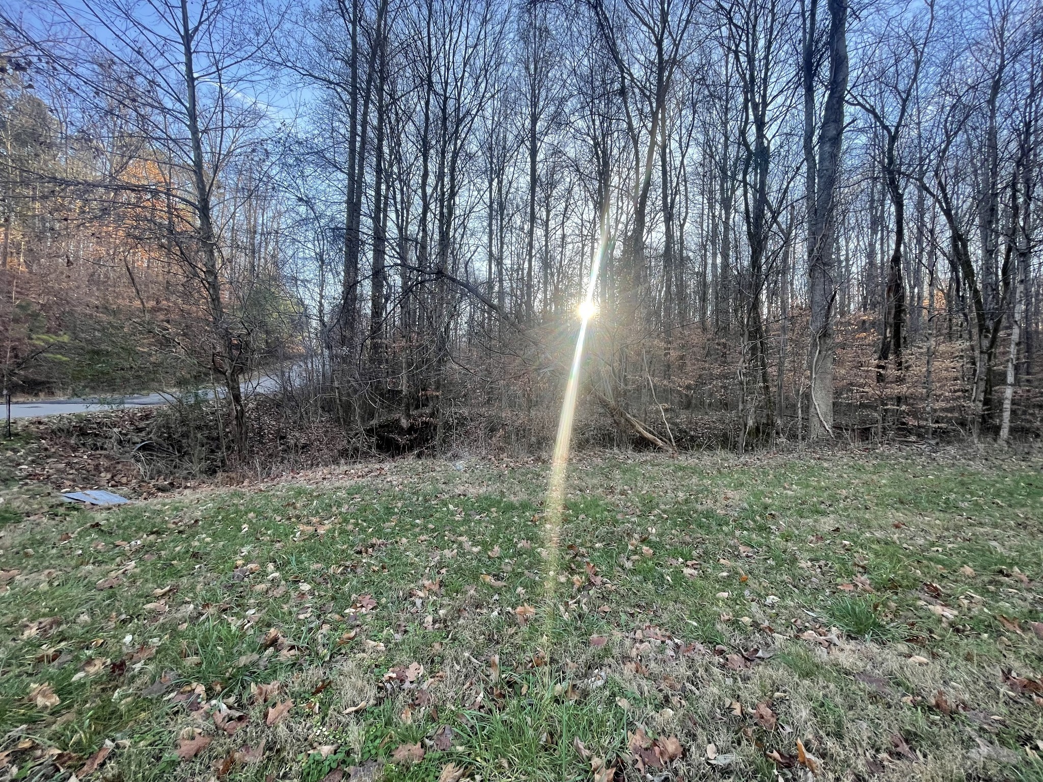 16 Autumn Trail