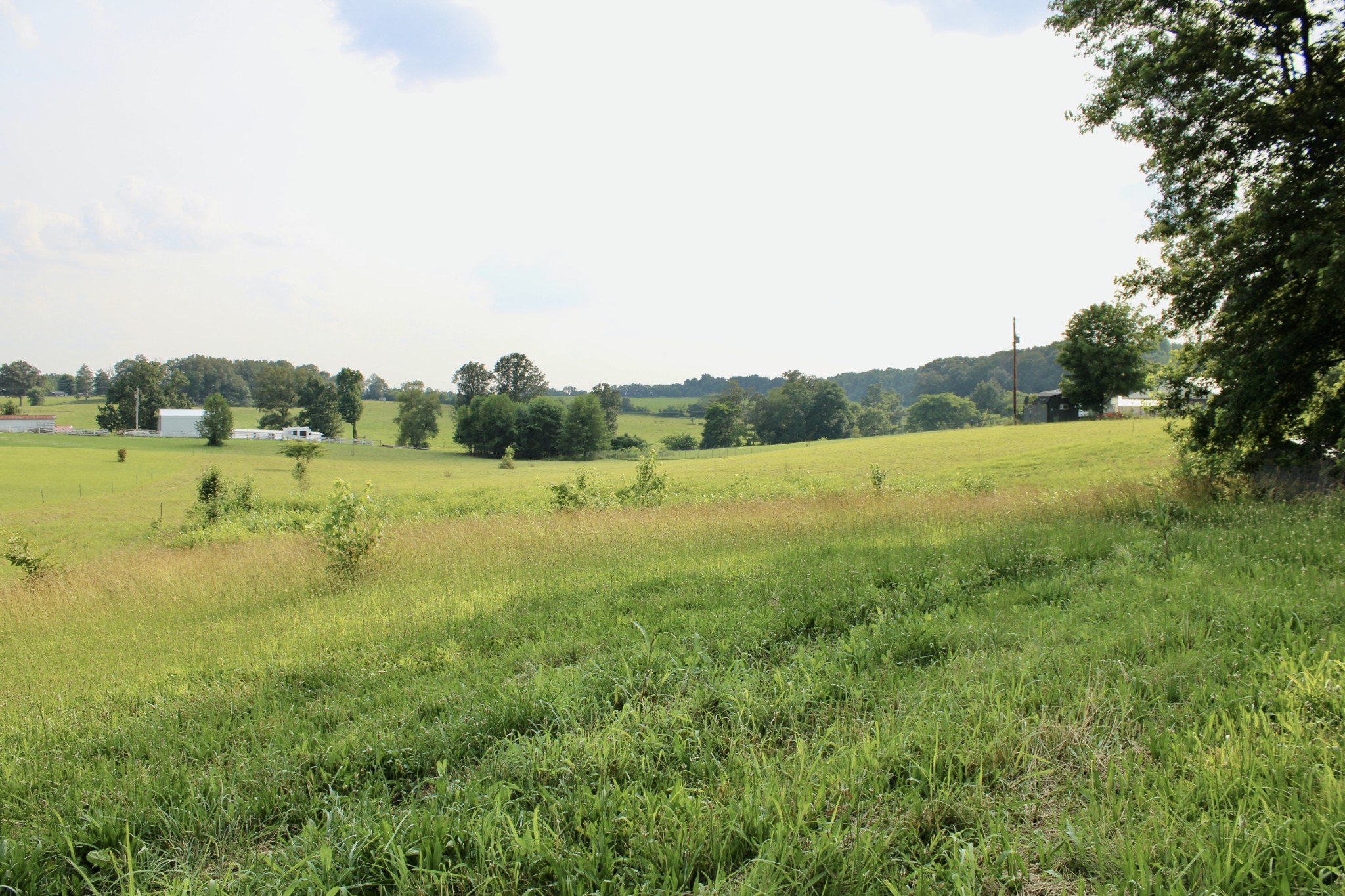 6442 Highway 161