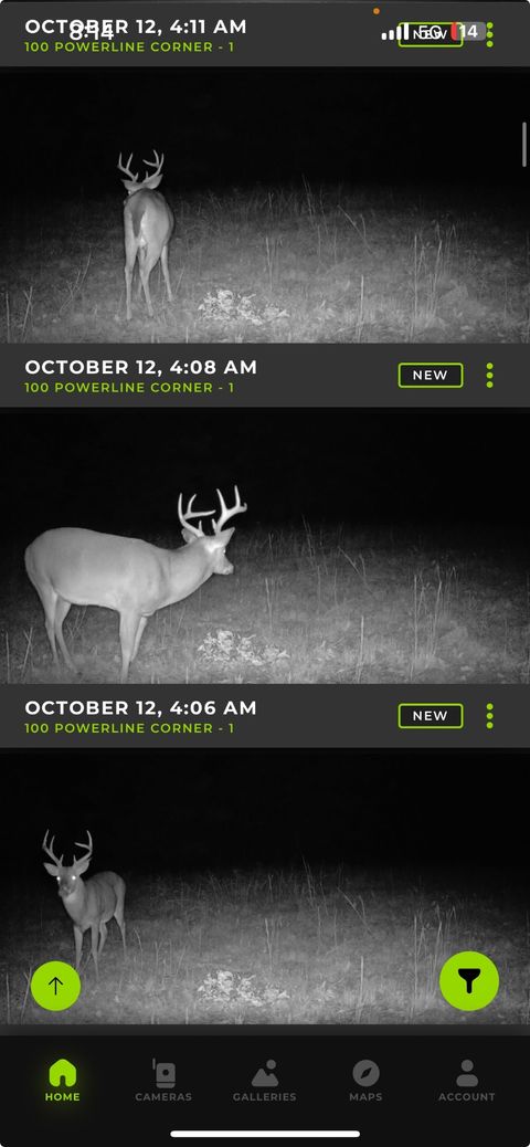 0 Allens Creek Rd Hohenwald TN 38462