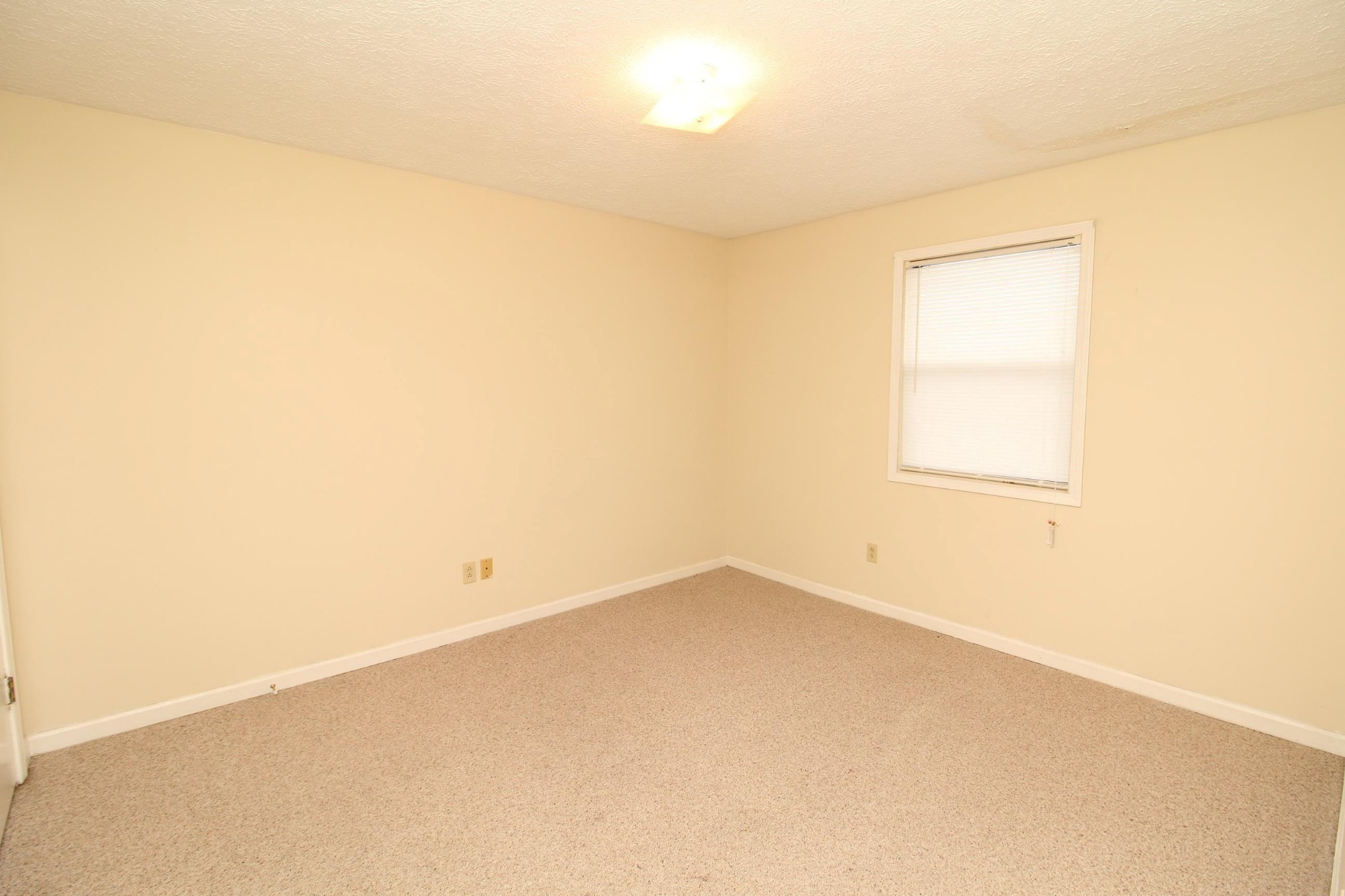 106 Koffman Drive D2