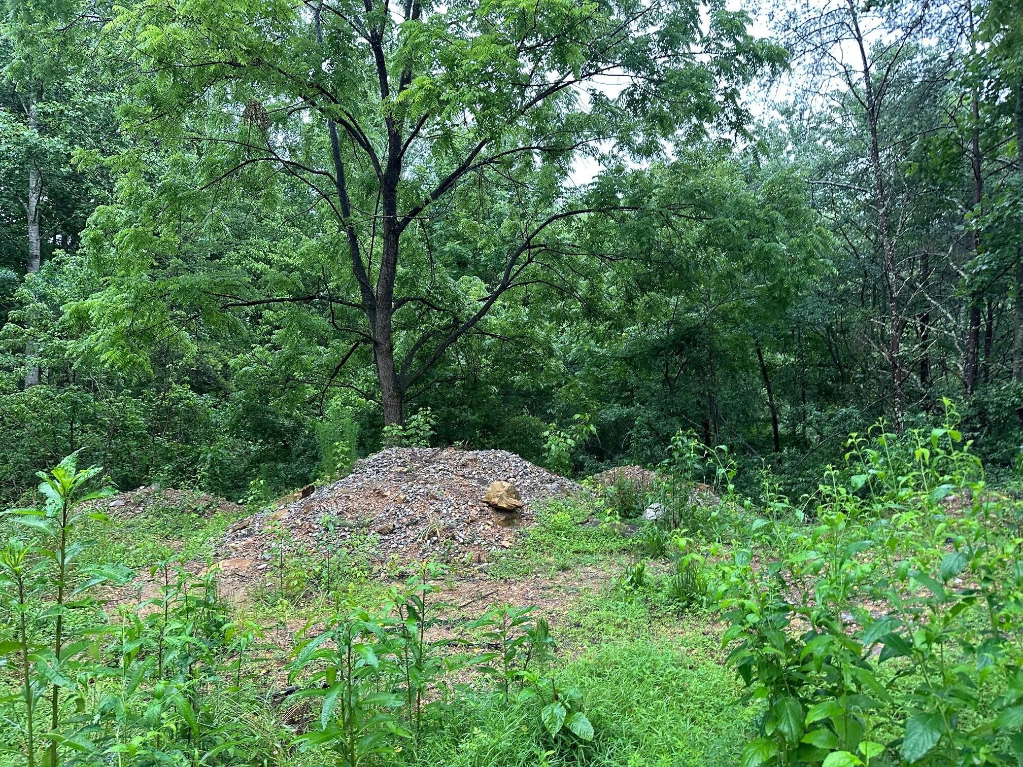 4 Saw Mill Road
