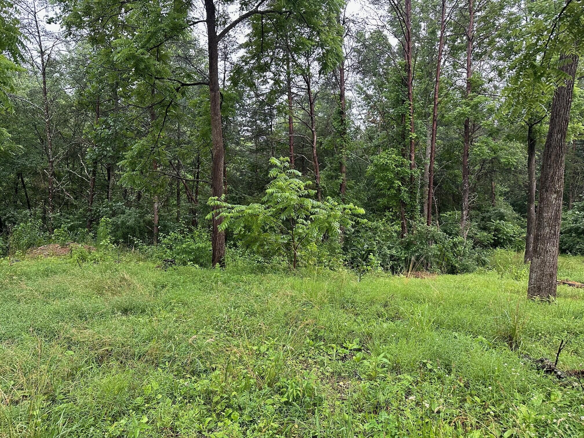 4 Saw Mill Road