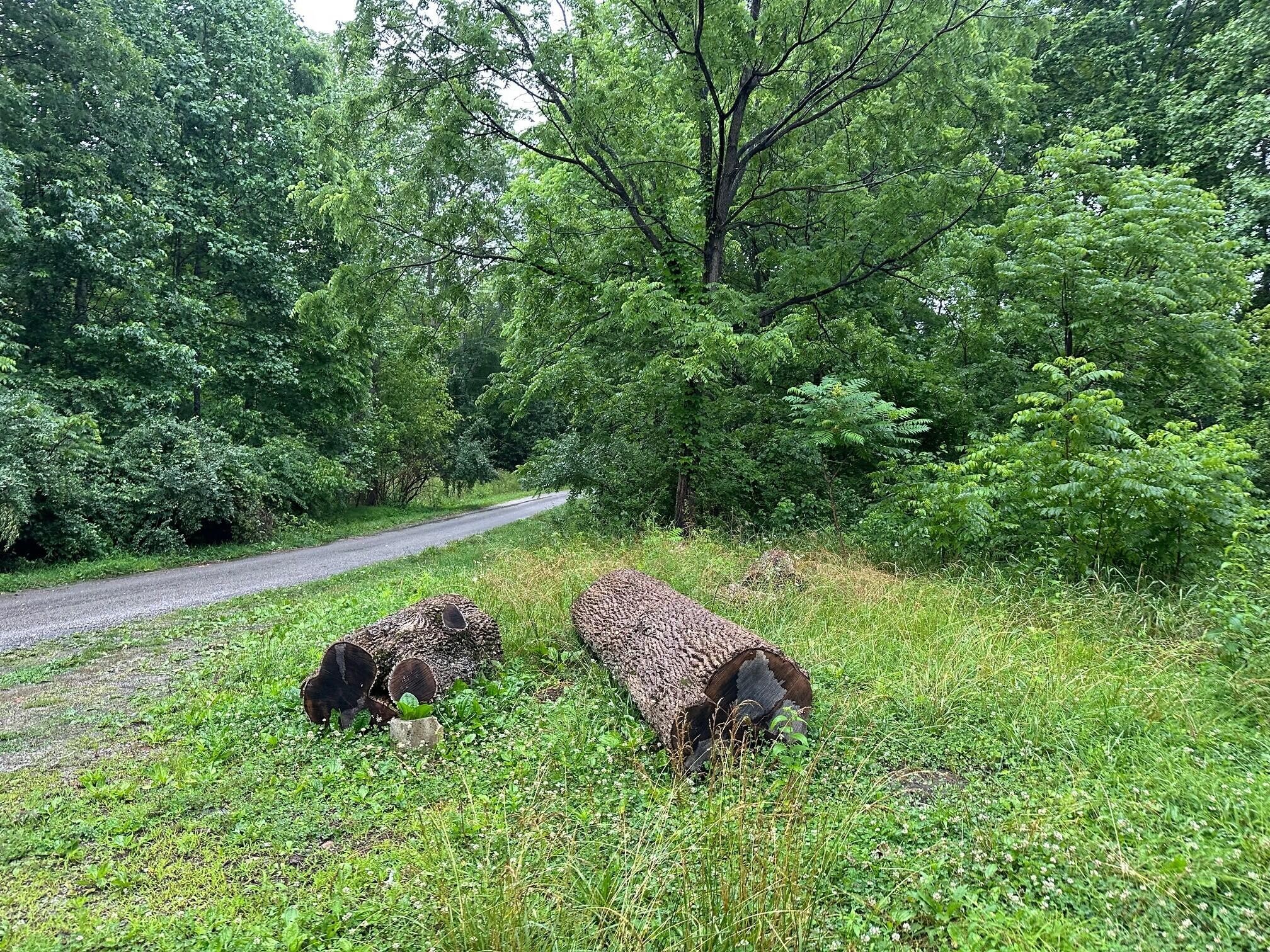 4 Saw Mill Road