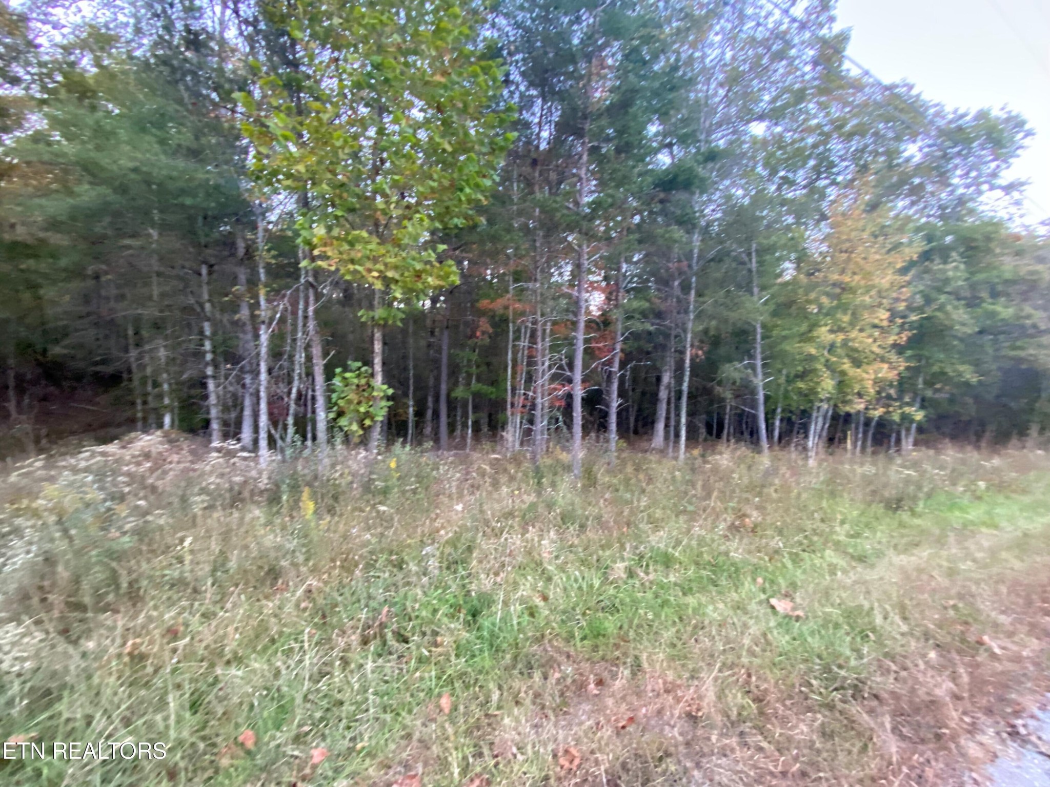 206 Goodstock Road Rd