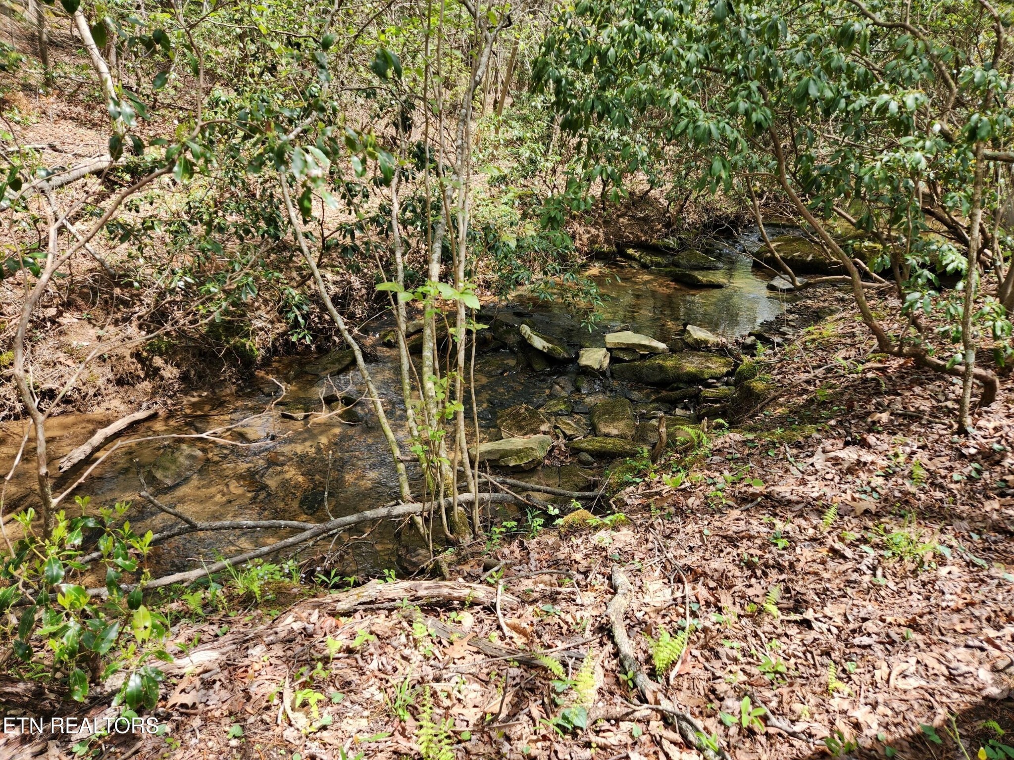 206 Goodstock Road Rd