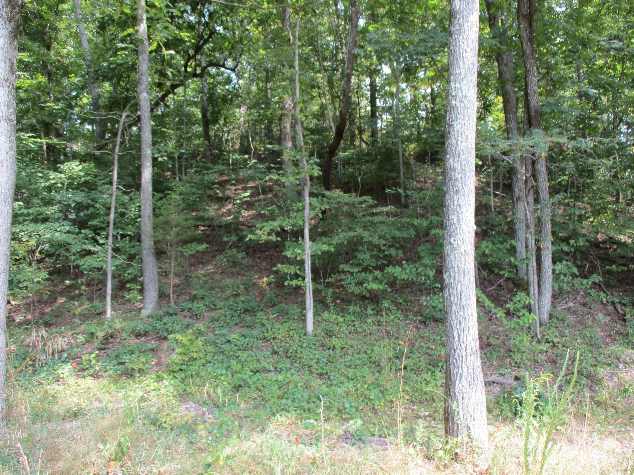 1613 Red Bank Creek Rd