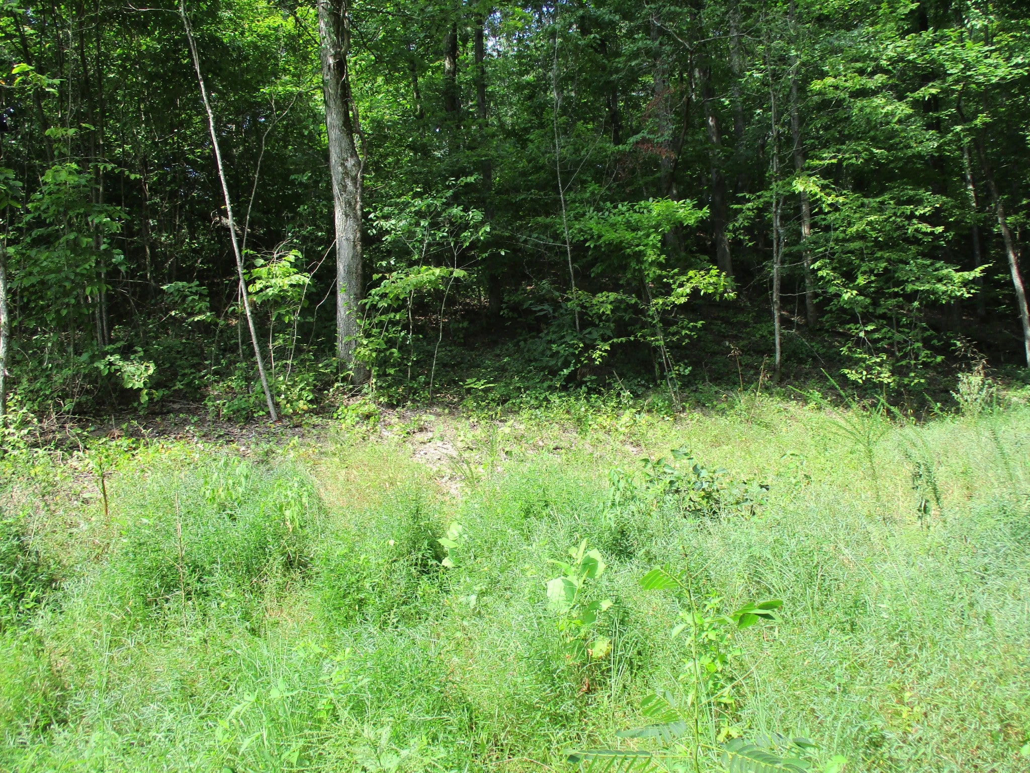 1613 Red Bank Creek Rd