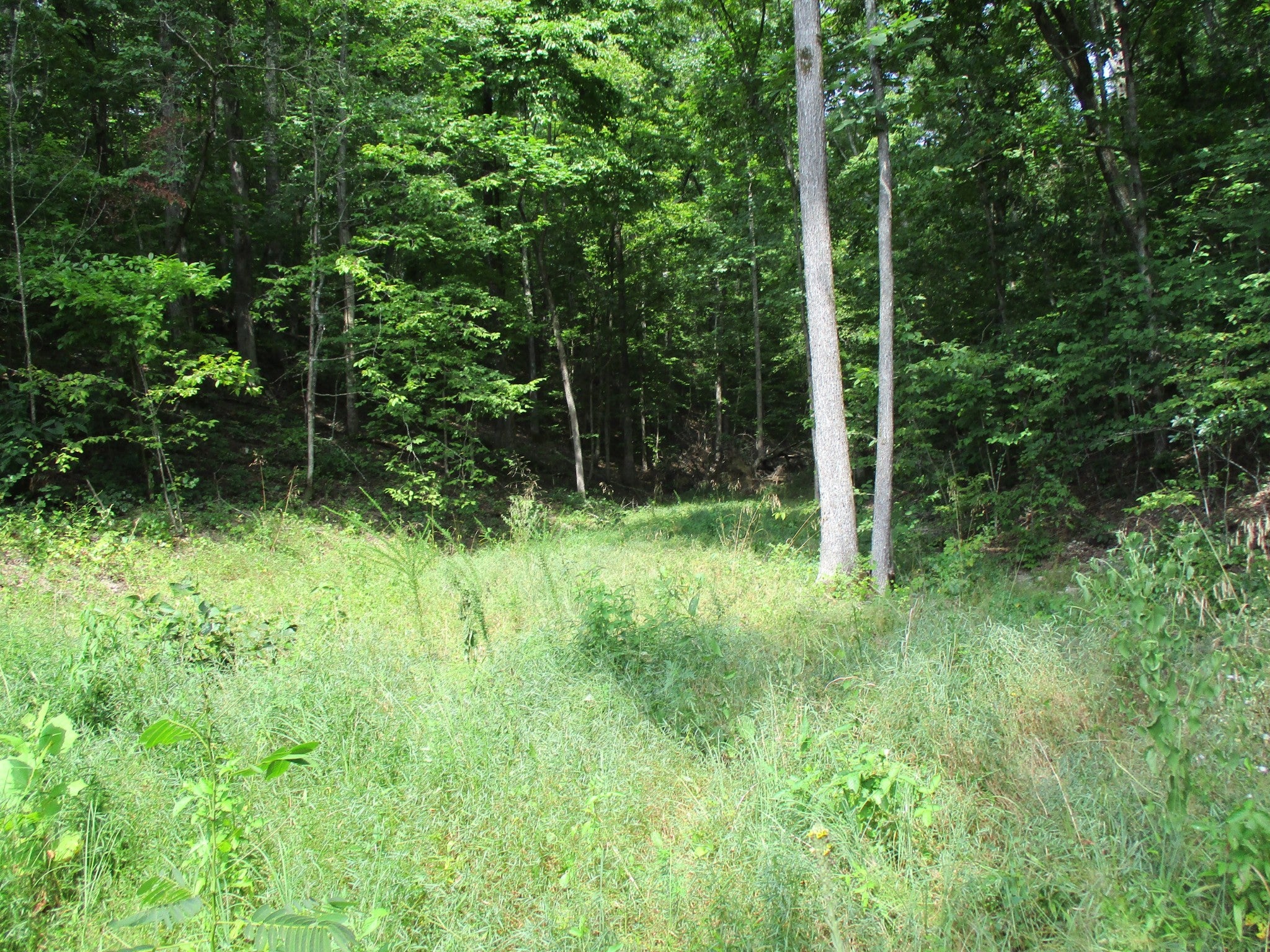 1613 Red Bank Creek Rd