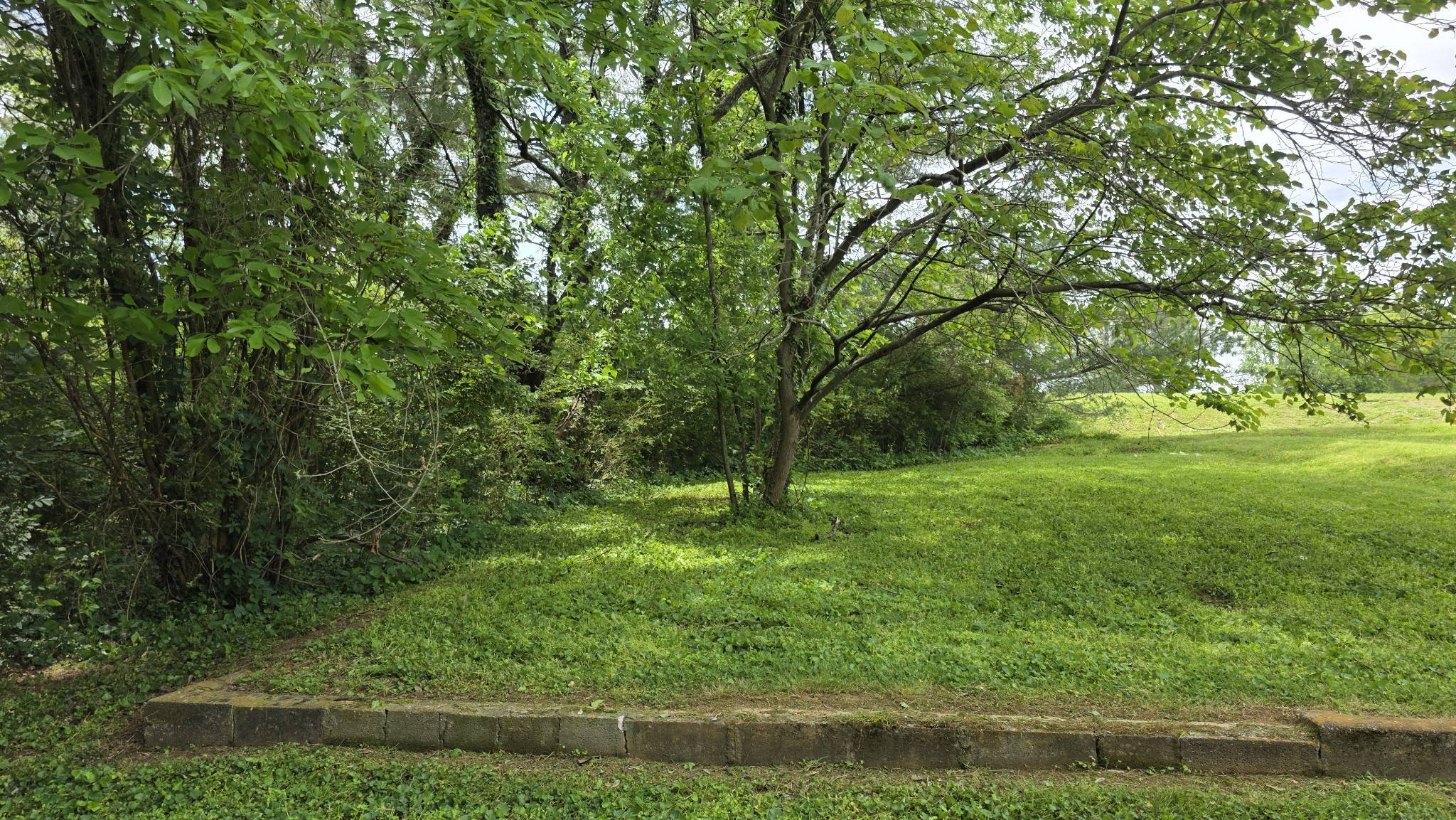 0 Lion Parkway