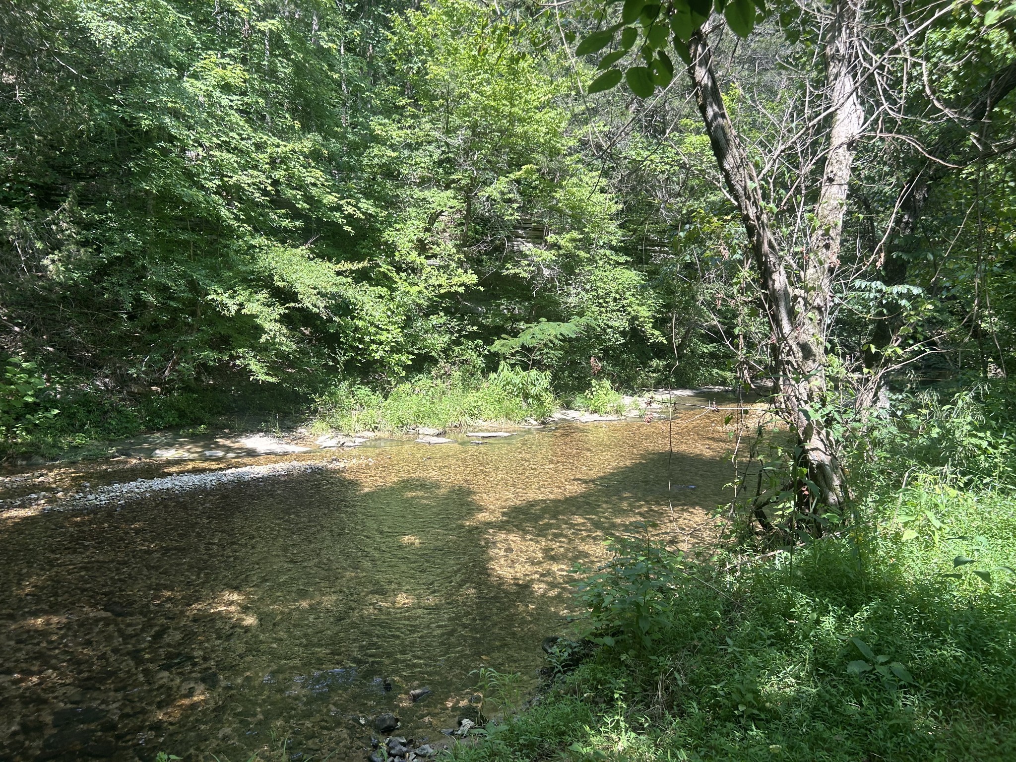 1775 Old Beech Creek Rd