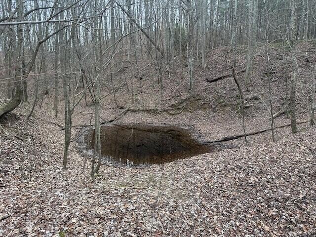 12062 Browns Hollow Road